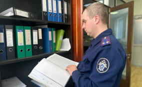 Полицейский и инструктор по вождению пойдут под суд за взятки в Гатчинском районе