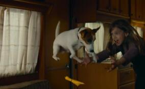 Какие фильмы посмотреть на новогодних каникулах