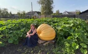 2024-й глазами корреспондентов ЛенТВ24