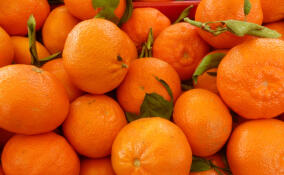 Ленинградцам рассказали, сколько мандаринов можно съедать в день