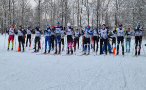 Рождественская лыжная гонка прошла в Гатчине