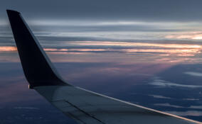 Летевший из Петербурга в Самарканд самолет экстренно сел во Внуково