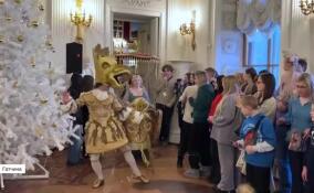 Новогодняя кутерьма: зимняя сказка в Гатчинском дворце