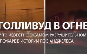 Голливуд в огне: что известно о самом разрушительном пожаре в истории Лос-Анджелеса