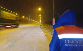 Эвакуация семьи из Заозерья: дорогу в деревне перекрыли упавшие деревья