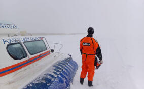 За две недели января спасателей Ленобласти более 170 раз вызывали на места происшествий