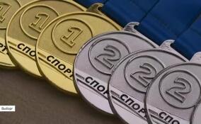 Первенство Ленинградской области по боксу проходит в Выборге