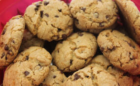 В Ленобласти будут проводить экскурсии на предприятия