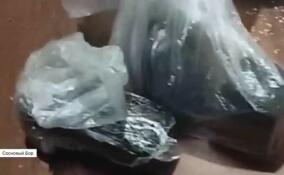 Килограмм синтетического наркотика и 2,5 млн рублей нашли в Сосновом Бору при обыске у подозреваемого