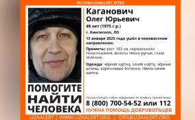 В Кингисеппе разыскивают пропавшего без вести 49-летнего мужчину