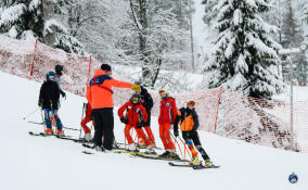 Юные ленинградские горнолыжники примут участие в турнире «Кубок медвежонка»
