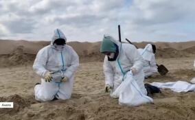 Добровольцы из 47-го региона отправились на ликвидацию последствий нефтеразлива в Анапе