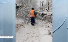 Около 40 населенных пунктов в Тихвинском районе и почти 20 — в Киришском остаются без света после непогоды