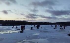 Жертвы форелевой лихорадки: 44 тонны красной рыбы против инстинкта самосохранения