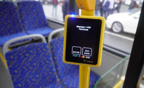 В Ленобласти с 6 февраля изменилась стоимость проезда на ряде маршрутов