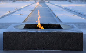 Хулиганы потушили Вечный огонь в Кингисеппе