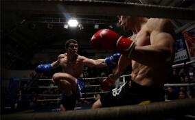 Вечер боев К-1 «УЛЬТИМАТУМ УДАРА» в объективе ЛенТВ24