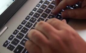 Всем онлайн, это ограбление: как современные удобства играют на руку мошенникам?