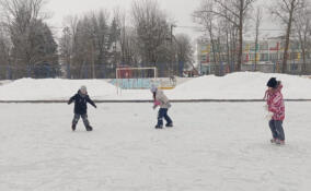 В деревне Бегуницы после вмешательства прокуратуры появился каток