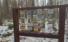 Ленобласть готовит к летнему сезону экологические маршруты