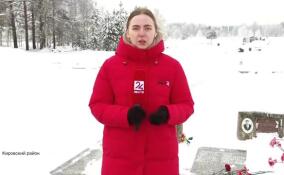 На мемориальном комплексе в Кировском районе возложили цветы в память о героических защитниках Невского пятачка