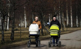 Жители Ленобласти смогут потратить часть регионального маткапитала на детские товары и питание