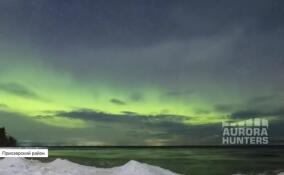 Яркое северное сияние этой ночью озарило небо в Приозерском районе