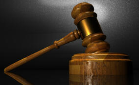 Экс-директор пансионата для пожилых людей в Ленобласти получил условный срок за мошенничество