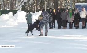 Снять отпечатки пальцев и задержать преступников: школьникам рассказали о работе полицейских, спасателей, военных