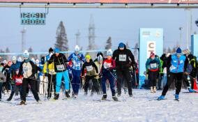 Почти 60% жителей Ленобласти регулярно занимаются спортом