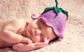 Более 450 жительниц Ленобласти прошли процедуру ЭКО по ОМС в 2024 году