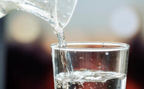 В Гатчинском округе выявлены нарушения санитарных норм на 31 артезианской скважине