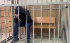 Суд арестовал обвиняемого в убийстве мужчины в Мурино