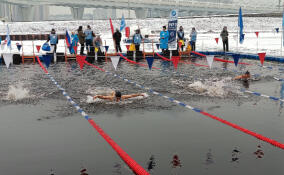 Более 400 пловцов участвуют в «Кубке Большой Невы» в Петербурге