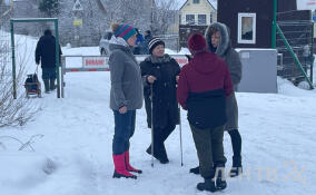 Жители садоводства под Всеволожском жалуются на нашествие воров