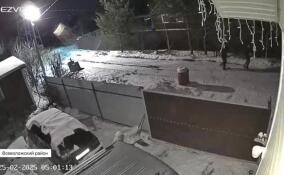 В одном из садоводств Всеволожского района завелась банда грабителей