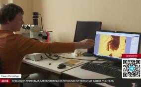 Директор ААНИИ рассказал о предстоящем проекте