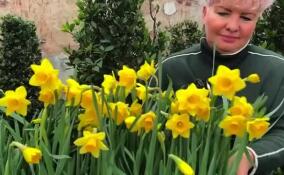 В оранжереях Гатчинского парка готовятся к весне