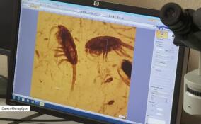 Ноу-хау в исследовании Северного Ледовитого океана и новые направления работы Арктического и антарктического научно-исследовательского института