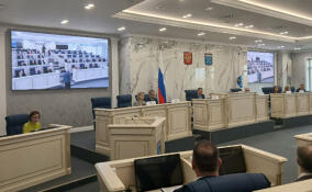 Депутаты Петербурга и Ленобласти обсудили результаты введения туристического налога