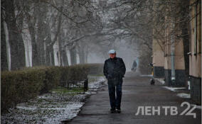 Небольшое похолодание и снег: прогноз погоды в Ленобласти на 12 марта