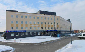 Новая поликлиника в Новоселье начала принимать больных