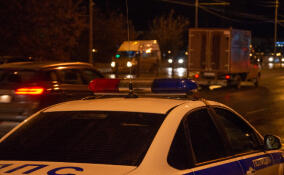 Во Всеволожском районе задержали нелегала с крупной партией наркотиков