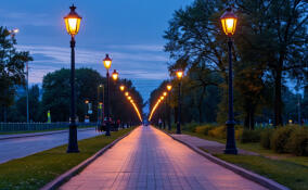 Оборудовать тротуар и освещение вдоль трассы в Рассколово планируют в этом году