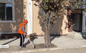 Возрождение культуры Мариуполя: ленинградские специалисты восстановили два знаковых для города объекта