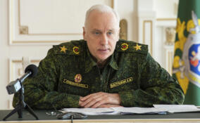 Александр Бастрыкин поручил проверить условия содержания псов у жительницы СНТ в Ленобласти