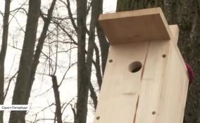 На экологическом празднике «Скворцы прилетели» сотрудники службы садов Русского музея поделились секретами подготовки к встрече с птицами