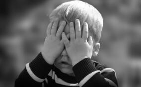 Из окна дома в Сертолово выпал маленький ребенок