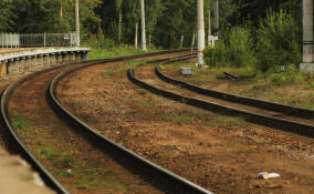 Поезд насмерть сбил мужчину во Всеволожском районе