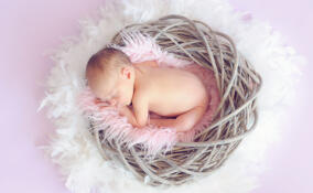 Виланна, Милианна и Лутфия: какими именами называли новорожденных в Ленобласти в марте